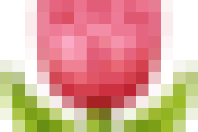 Trường Tiểu học Lê Hồng Phong Tổ chức Khai Giảng năm học mới 2025-2026