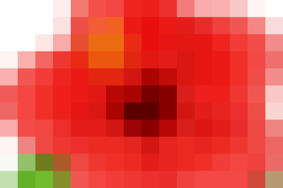 TRƯỜNG TH LÊ HỒNG PHONG TỔ CHỨC LỄ KỶ NIỆM CHÀO MỪNG NGÀY NHÀ GIÁO VIỆT NAM 20/11