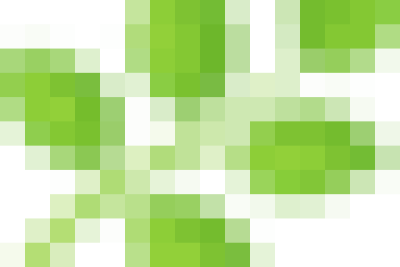 Ngày 9/12/2025, Trường Tiểu học Lê Hồng Phong tiếp tục triển khai tiêm phòng uốn ván – bạch hầu (TD) cho học sinh theo kế hoạch.