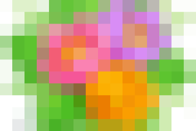 Thực hiện Công văn số 6569/BGDĐT-GDPT ngày 16/10/2025 của Bộ GDĐT về triển khai tập huấn CBQL, GV phát triển năng lực số cho học sinh phổ thông tại các địa phương; Công văn số 775/SGDĐT-GDTH ngày 12/9/2025 của Sở GDĐT Ninh Bình về hướng dẫn thực hiện